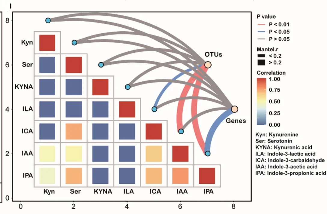 Open access visualization of Network, Heatmap, Tryptophan Metabolites, Spearman’s Correlation, Bacterial Gene Expression