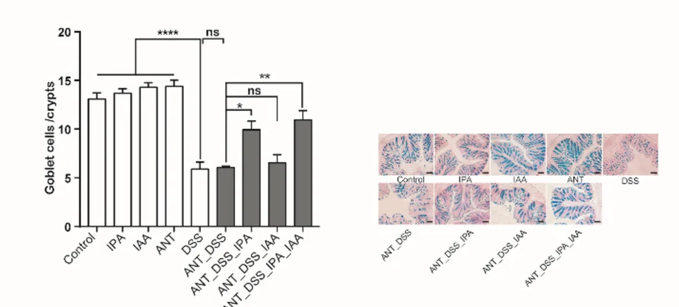 Open access visualization of Bar Plot, Error Bars, Microscopy, Goblet Cells, Colon