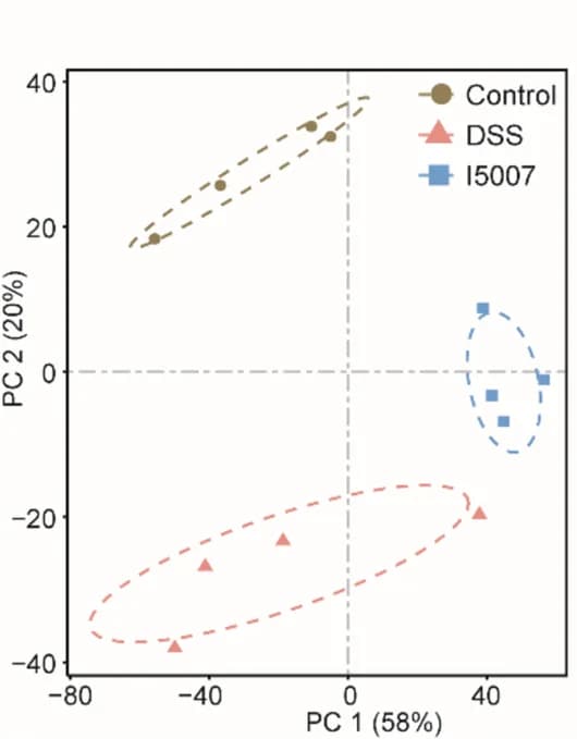 Open access visualization of Scatter Plot, PCA, PCoA Plot, BrayCurtis Distance, Colonic Microbiota