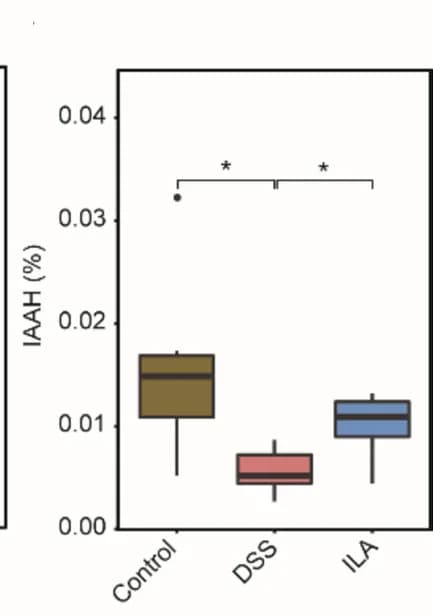 Open access visualization of Box Plot, Indoleacetamide Hydrolase, IAAH, PICRUSt2, DSS-Treated Mice