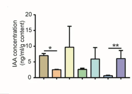 Open access visualization of Bar Plot, Error Bars, IAA, Colon Contents, Concentration