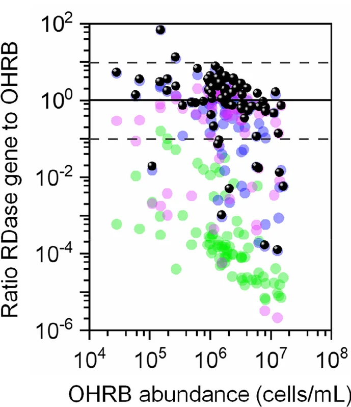 Open access visualization of Scatter Plot, PCB-RDase Gene, OHRB Ratio, OHRB Cell Abundance, Sludge Microcosms