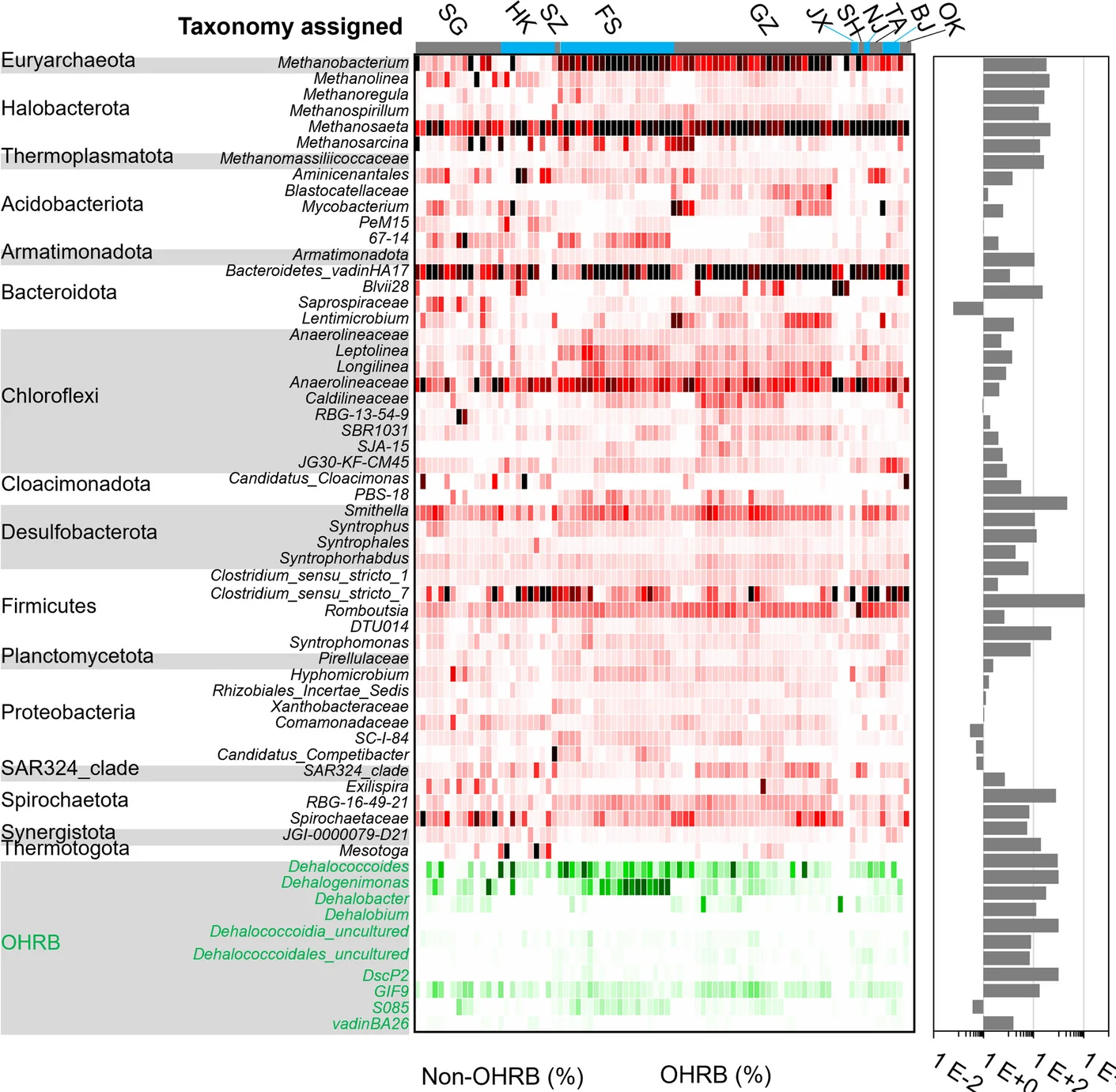Open access visualization of Heatmap, Bar Plot, Taxonomic Composition