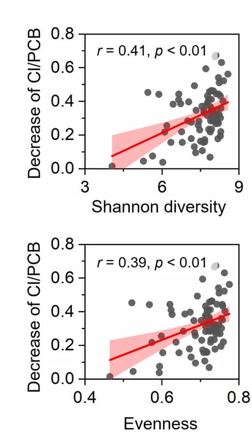 Open access visualization of Scatter Plot, Regression Plot, PCB Dechlorination Activity, Alpha Diversity