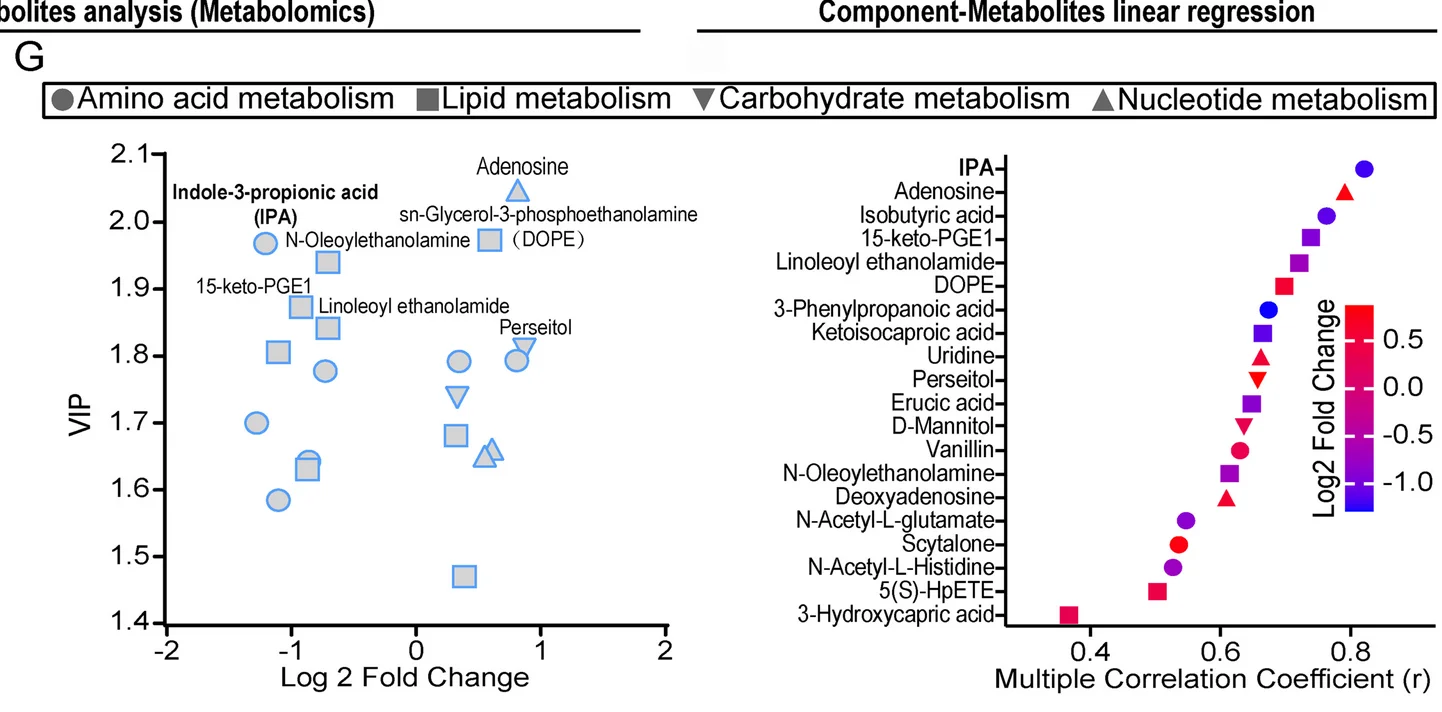 Open access visualization of Scatter Plot, Regression Plot, Untargeted Metabolomics, Feces, Multiple Correlation Coefficients