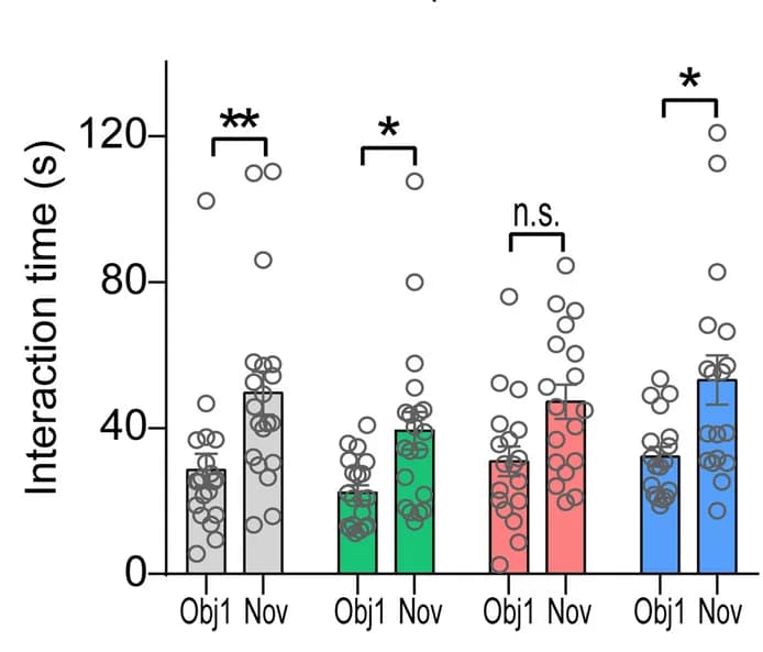 Open access visualization of Bar Plot, Error Bars, Scatter Plot, IPA, Cognitive Impairment