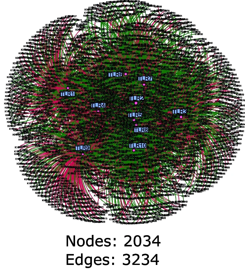 Open access visualization of Network, Pathway, Co-occurrence Networks, Pattern Recognition Receptors, Microbial Genes
