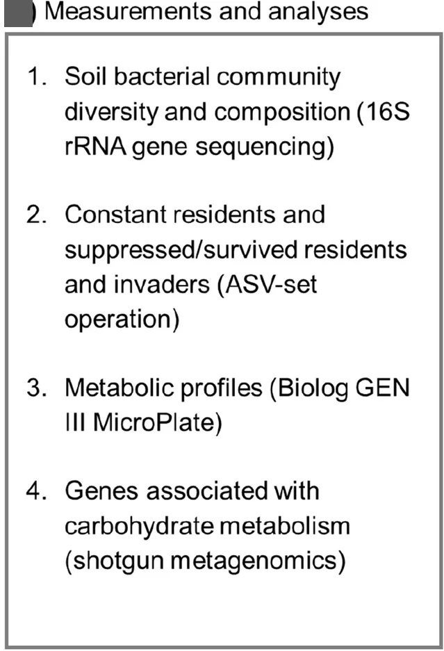 Open access visualization of Workflow, Analyses, Measurements, Study Summary