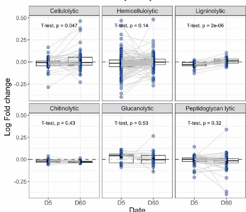 Open access visualization of Scatter Plot, Box Plot, Line Plot, Log Fold Change, Cellulolytic