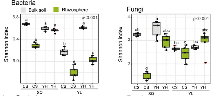 Open access visualization of Box Plot, Scatter Plot, Shannon Index, Bacterial Communities, Suqian Site