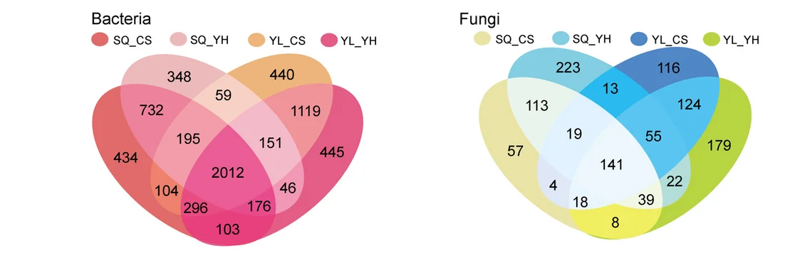 Open access visualization of Venn Diagram, Operational Taxonomic Units, Drought Resistant Cultivars, Drought Susceptible Cultivars, Yangling Site