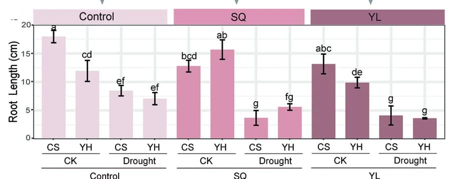 Open access visualization of Bar Plot, Error Bars, Bar Graph, Root Length, Wheat Seedlings