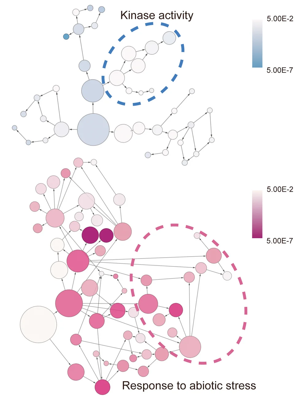 Open access visualization of Pathway, Gene Ontology, Differentially Expressed Genes, Biological Processes, Abiotic Stress Response