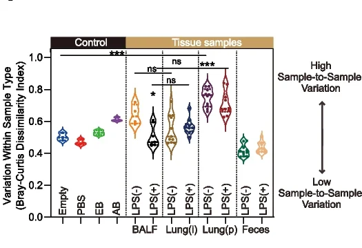 Open access visualization of Violin Plot, Bray-Curtis Dissimilarity Index, Lung, Gut, Specimens