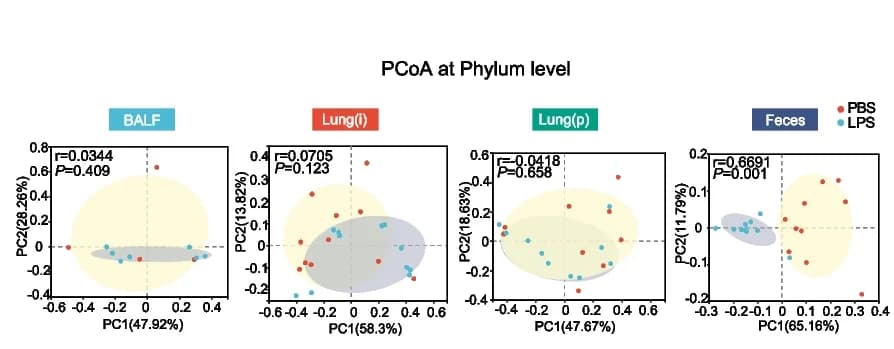 Open access visualization of Scatter Plot, PCA, PCoA, Phylum Level