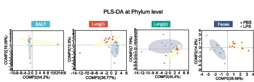 Open access visualization of Scatter Plot, PCA, PLS-DA, Phylum Level