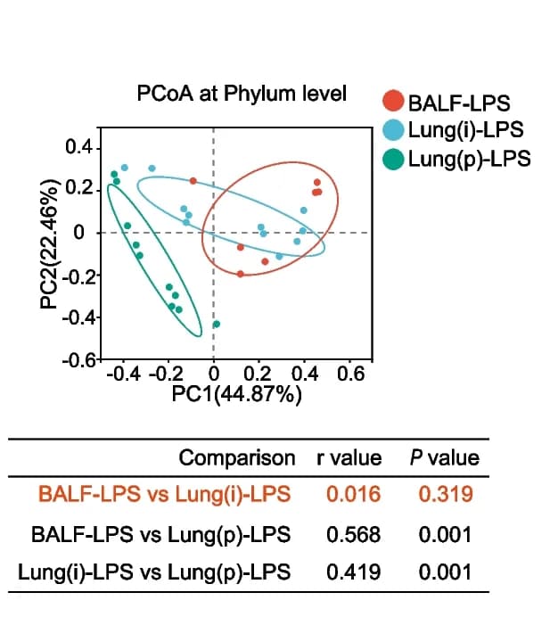 Open access visualization of Scatter Plot, PCA, Table Image, PCoA, Phylum Level