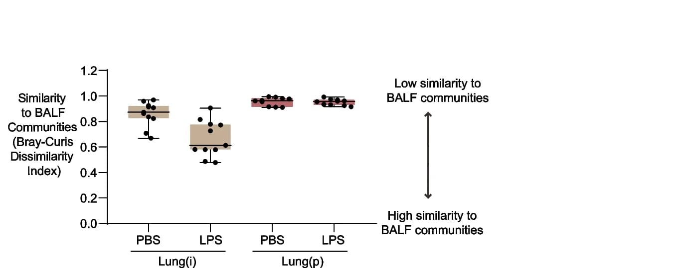 Open access visualization of Box Plot, Scatter Plot, Bray-Curtis Dissimilarity Index, Lung Specimens, BALF Specimens