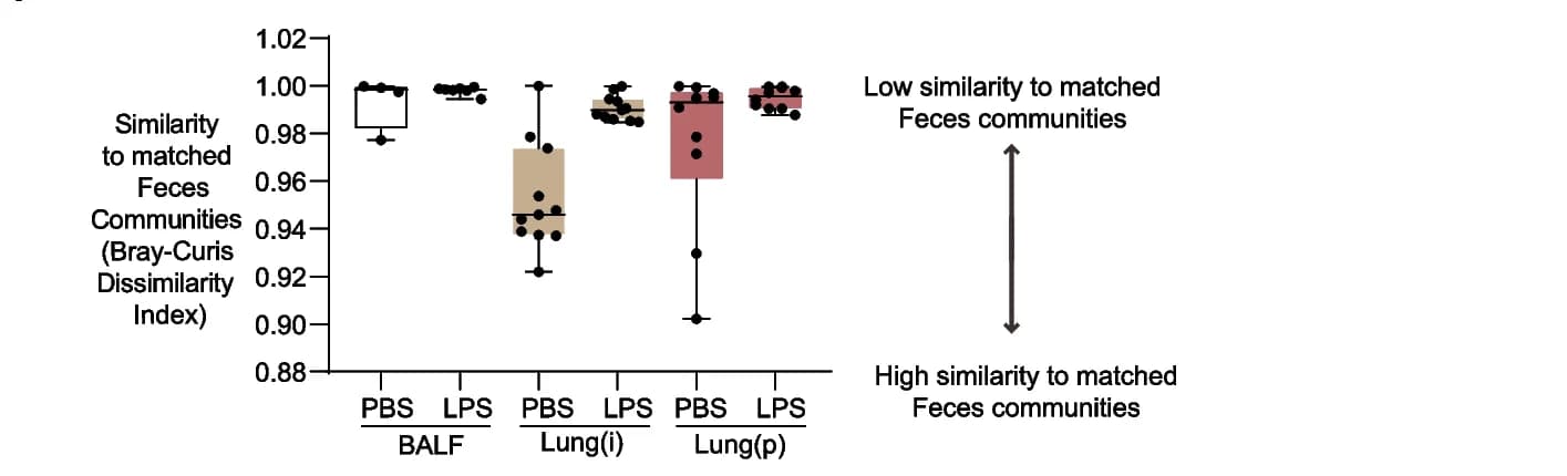 Open access visualization of Box Plot, Scatter Plot, PCoA, Kruskal-Wallis H-test, Lung Specimens