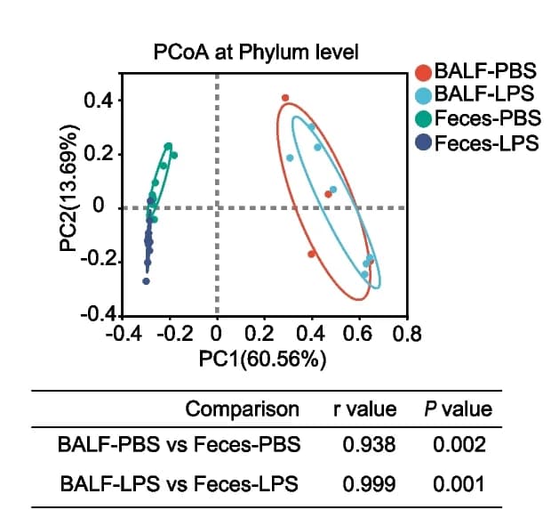 Open access visualization of Scatter Plot, PCA, Table Image, PCoA, Phylum Level