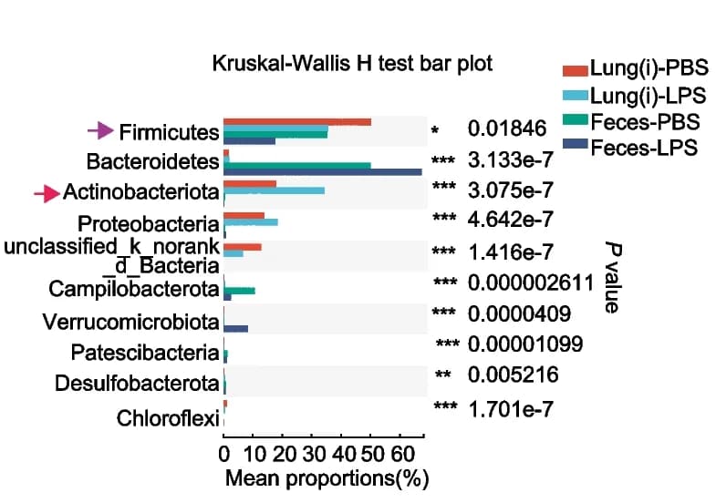 Open access visualization of Bar Plot, Kruskal-Wallis H-test, Phylum Level, Lung(i) Specimens, Feces Specimens