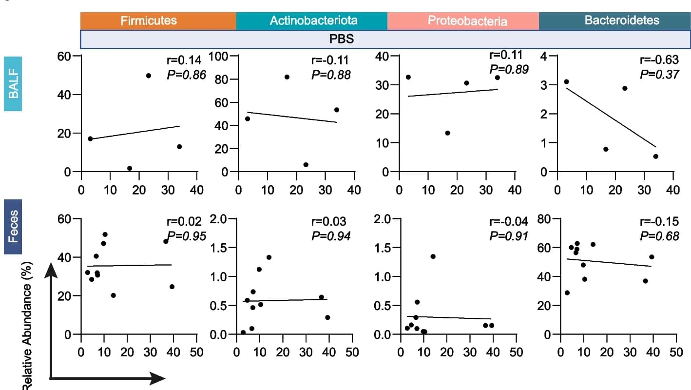 Open access visualization of Scatter Plot, Regression Plot, Microbiome, BALF, Feces