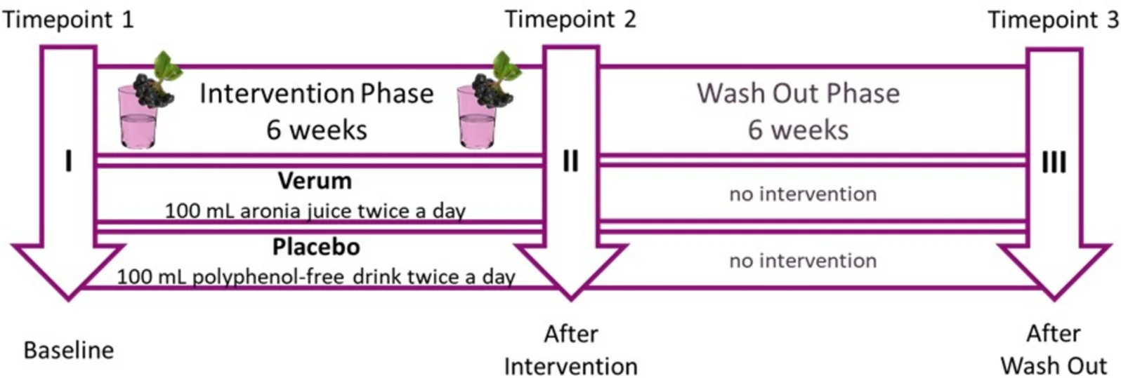 Open access visualization of Workflow, Flowchart, Illustration, Study Design, Intervention