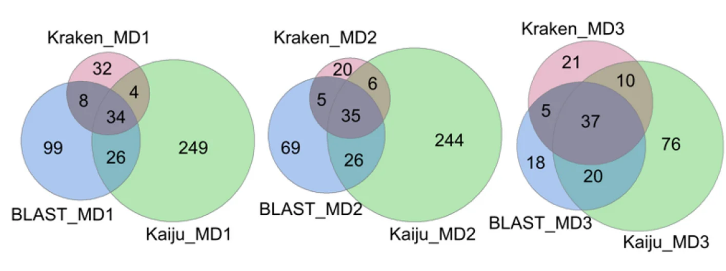 Open access visualization of Venn Diagram, Venn Diagrams, Species Identification, Stool Sample, MD1 Pipeline