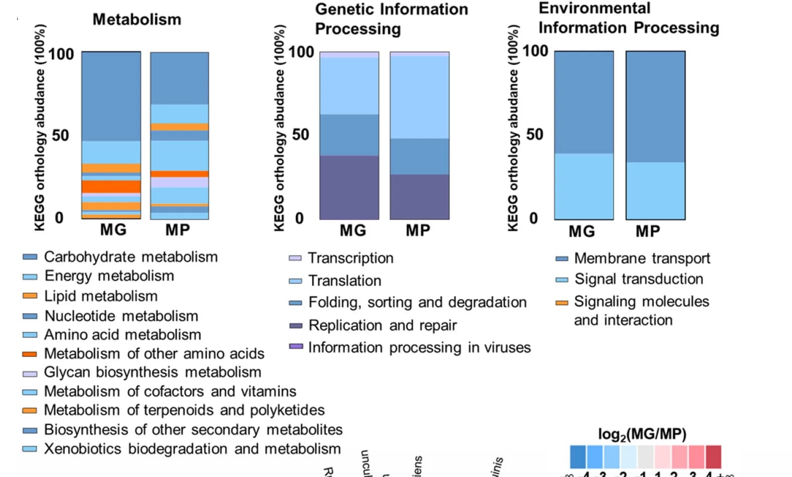 Open access visualization of Stacked Bar Plot, KEGG, Metagenomic, Metaproteomic, Functional Annotation