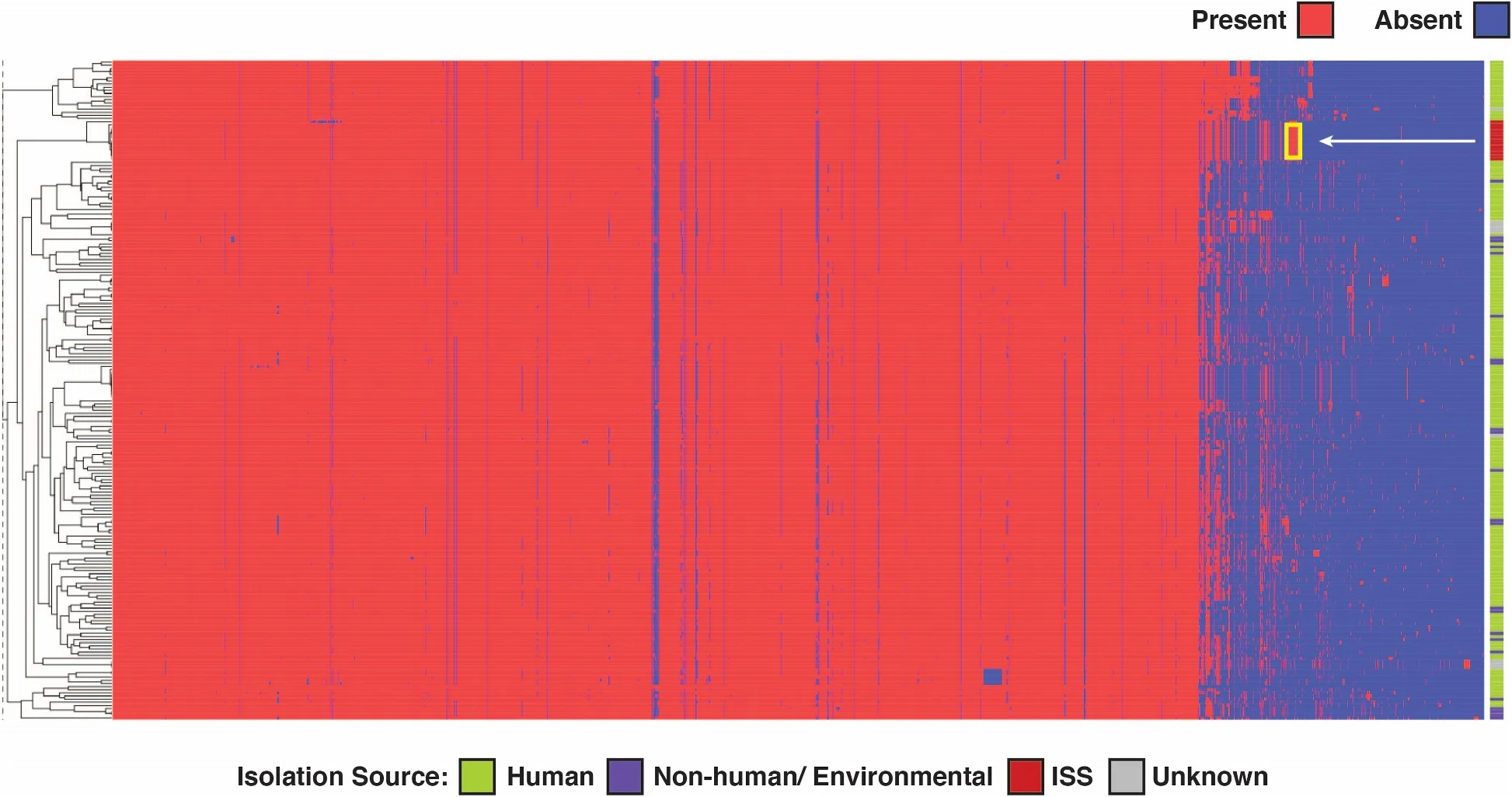 Open access visualization of Heatmap, Clustered, Hierarchical Clustering, Functional Profiles, COG Annotations