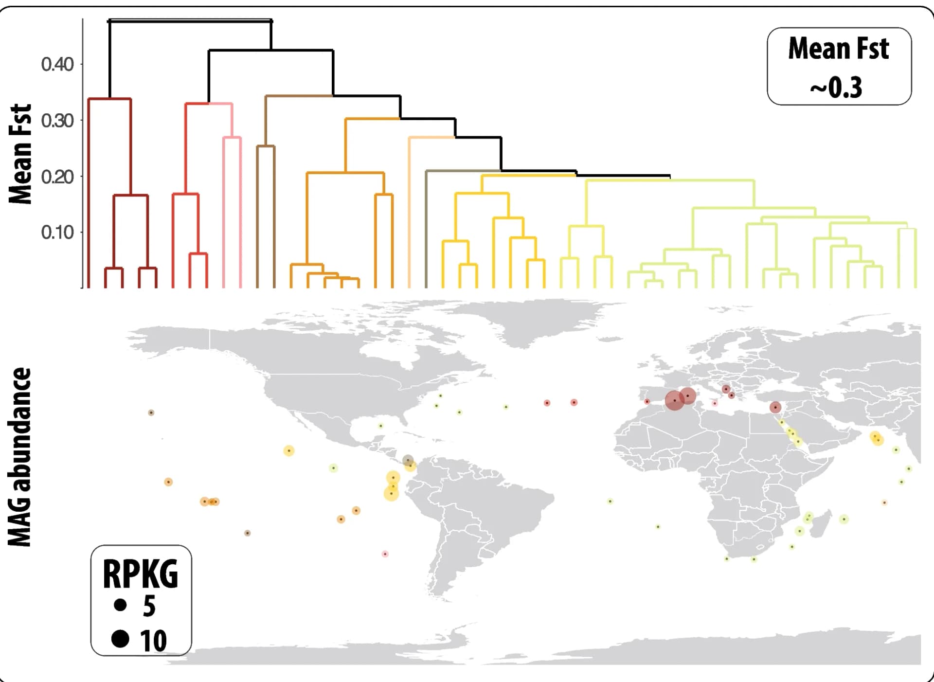 Open access visualization of Geo Map, Scatter Plot, Metagenomics, Population Genomics, MAG G4.480