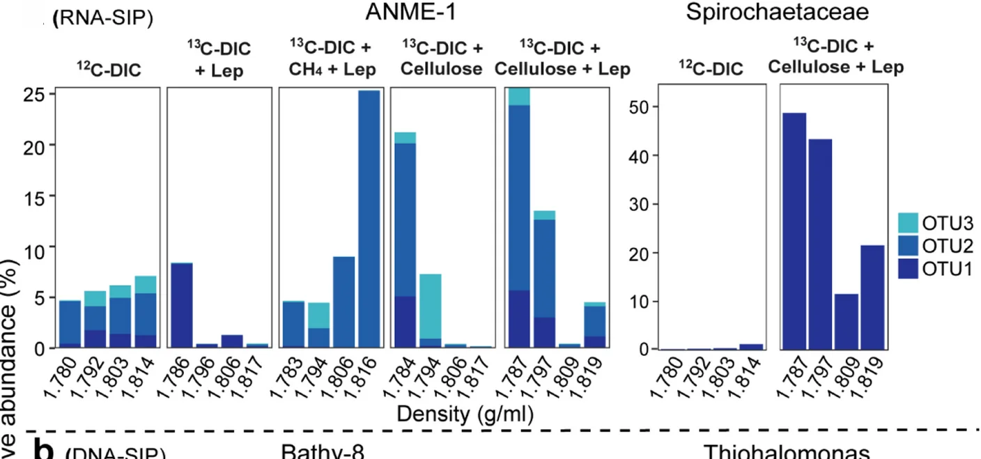 Open access visualization of Stacked Bar Plot, 16S rRNA Gene Sequences, ANME-1, Archaea, Spirochaetaceae
