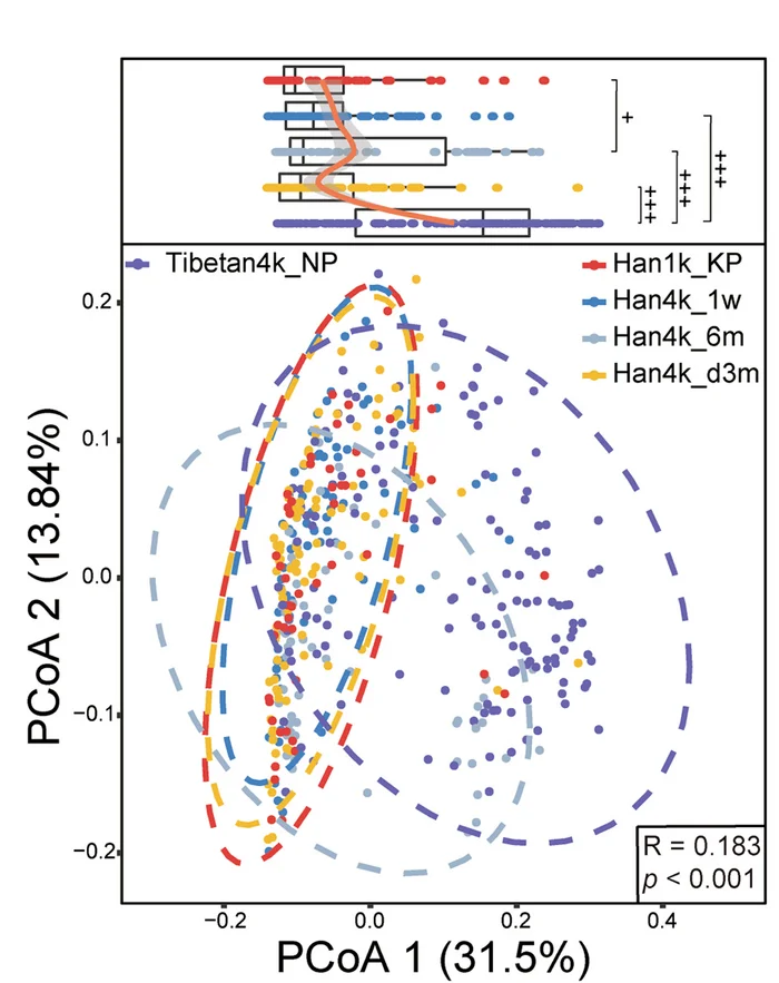 Open access visualization of Scatter Plot, Box Plot, Line Plot, PCoA, BrayCurtis Distance
