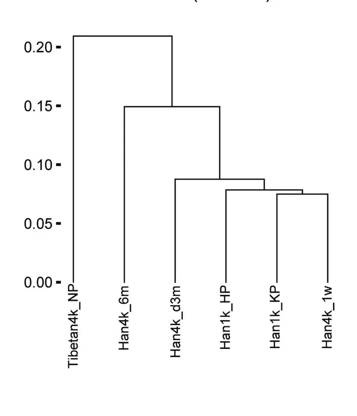 Open access visualization of Workflow, Dendrogram, Hierarchical Clustering, BrayCurtis Distance, Study Groups
