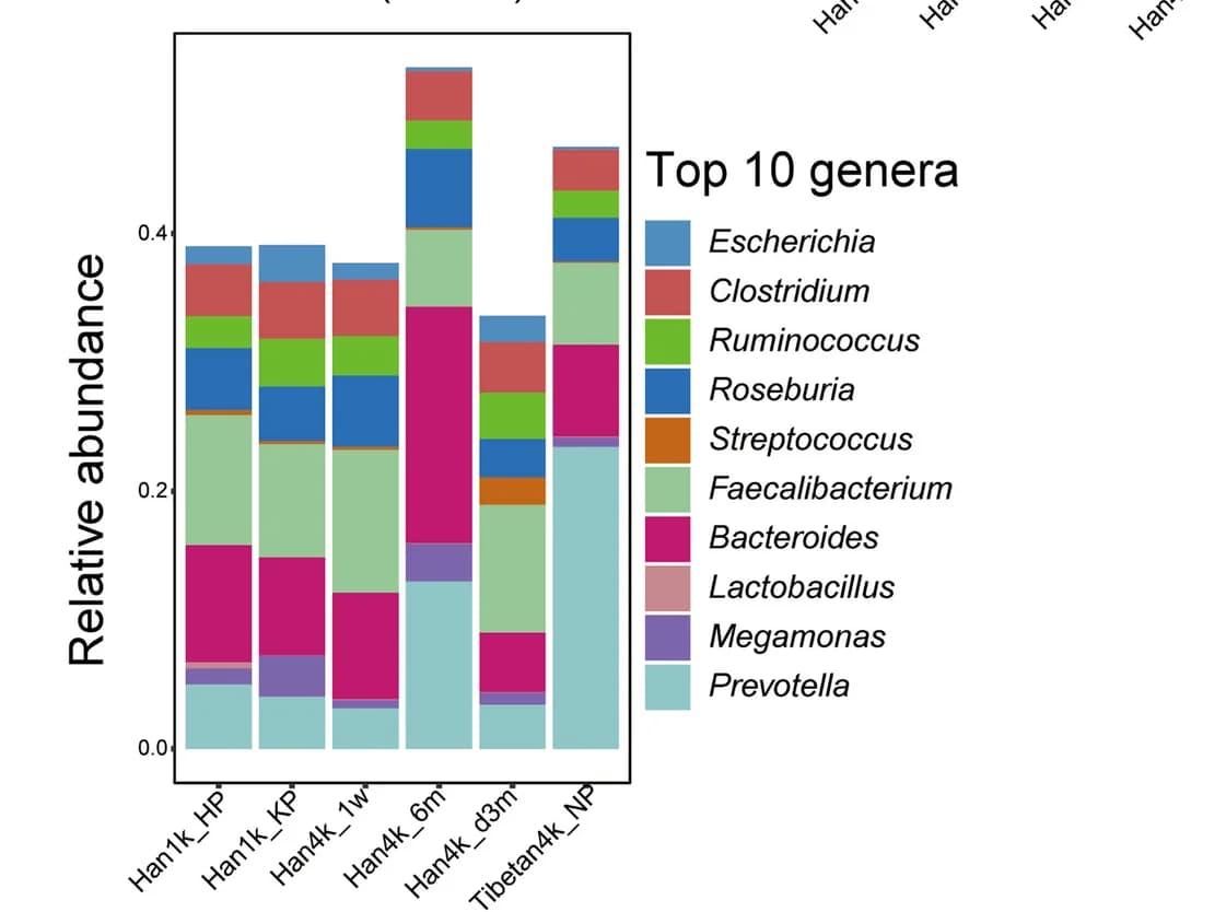 Open access visualization of Stacked Bar Plot, Relative Abundance, Top 10 Genera, Study Groups