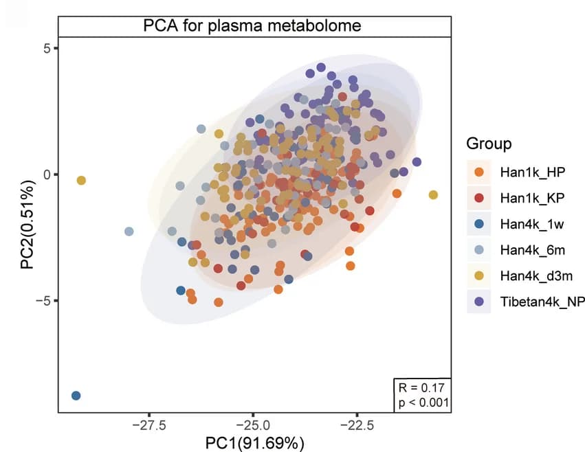 Open access visualization of Scatter Plot, PCA, Plasma Metabolome, Anosim Test, BrayCurtis Distance
