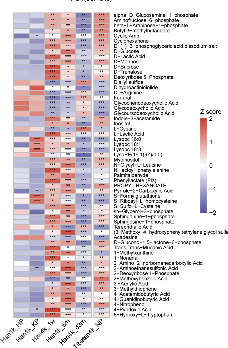 Open access visualization of Heatmap, Plasma Metabolites, Time-Altitude Cohort, Tibetan4k_NP, q Values