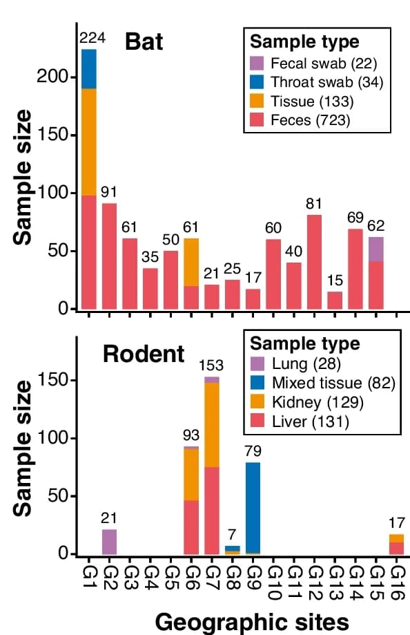 Open access visualization of Bar Plot, Stacked Bar Plot, Bat Samples, Rodent Samples, Sample Type