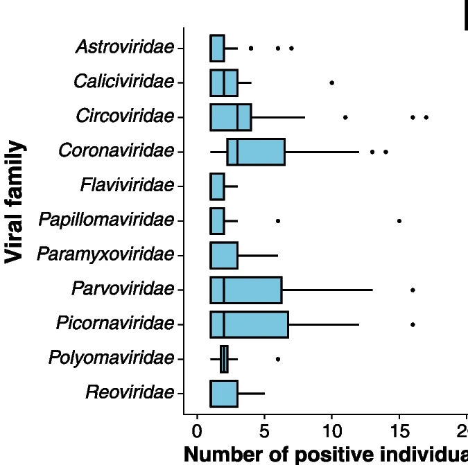 Open access visualization of Box Plot, vANI95 Cluster, Viral Family, Host Individuals