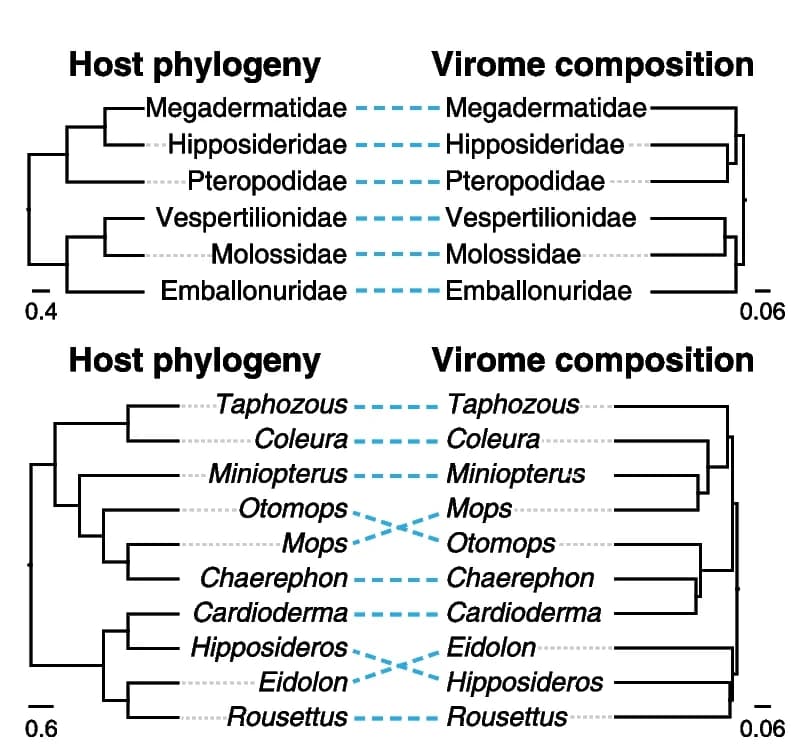 Open access visualization of Network, Pathway, Cophylogeny, Host Taxonomy, Virome Composition