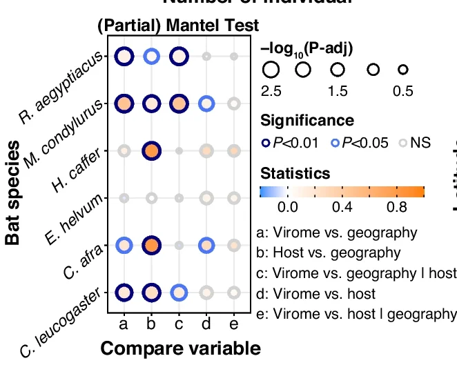 Open access visualization of Bubble Plot, Mantel Tests, Host Genetic Distance, Geographic Distance, Virome Dissimilarity