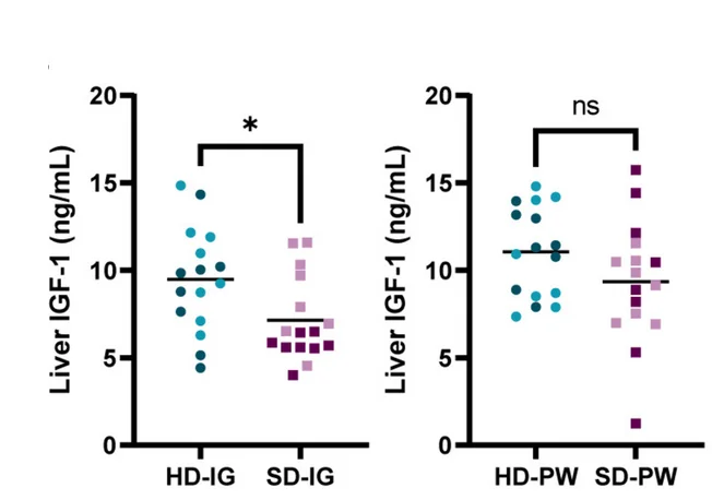 Open access visualization of Scatter Plot, IGF-1, Liver Tissue, Mice, Mann-Whitney U test