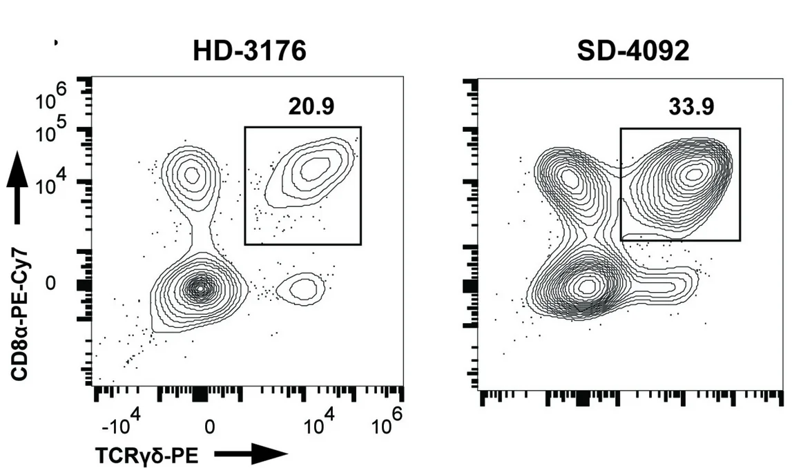 Open access visualization of Scatter Plot, Density Plot, TCRγδ+ Cells, Natural IELS, Flow Plots