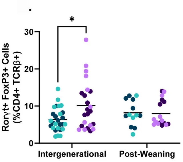 Open access visualization of Scatter Plot, Rorγt Regulatory T Cells, Small Intestine, Lamina Propria, FoxP3+ Cells