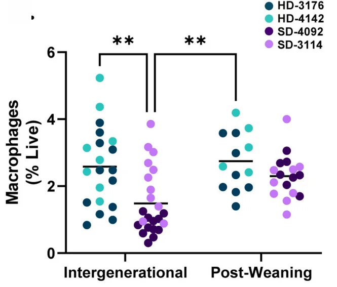Open access visualization of Scatter Plot, Macrophages, Small Intestine, Lamina Propria, F4/80+ Cells