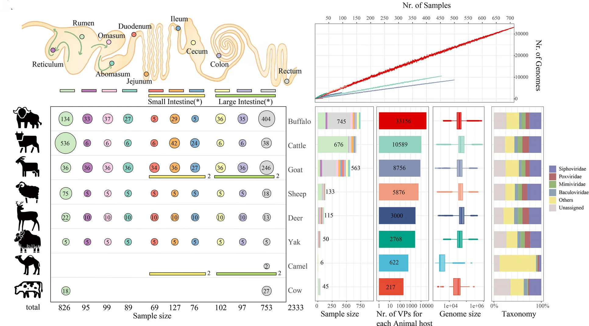 Open access visualization of Line Plot, Bar Plot, Box Plot, Illustration, Unified Ruminant Phage Catalogue