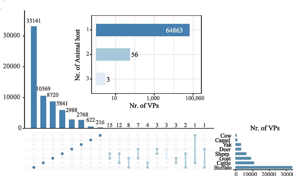 Open access visualization of Bar Plot, Clustered, URPC Phages, Viral Population, Animal Hosts