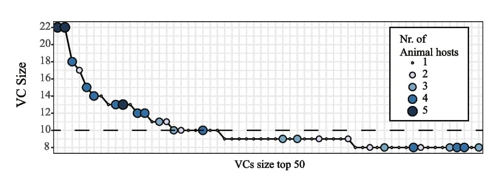 Open access visualization of Scatter Plot, Line Plot, Bubble Plot, Viral Clusters, Cluster Size