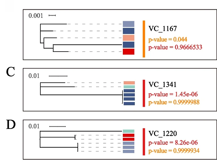 Open access visualization of Network, Bar Plot, Phylogenetic Trees, Viral Clusters, Animal Hosts