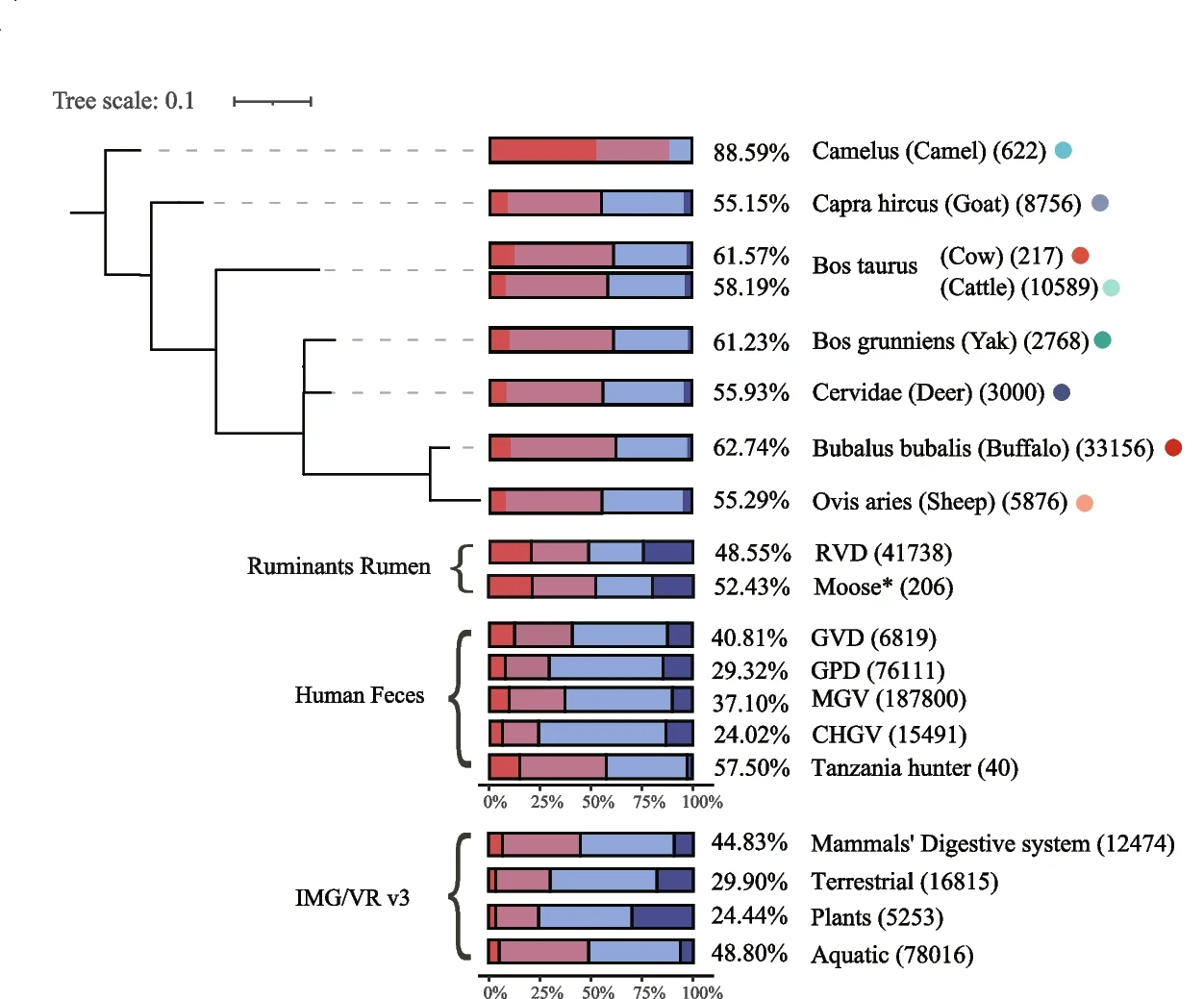 Open access visualization of Bar Plot, Stacked Bar Plot, Network, Phage Lifestyle, Ruminant GIT